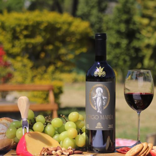 Diseño sin título (1)