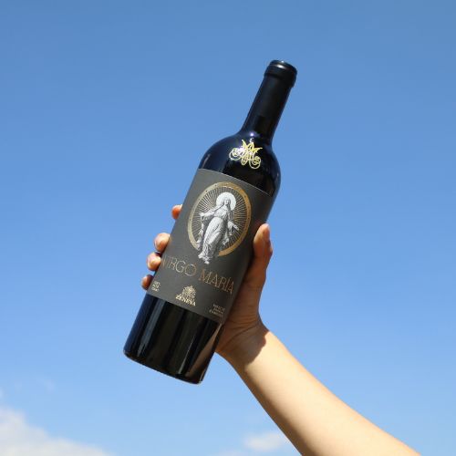 Diseño sin título (2)