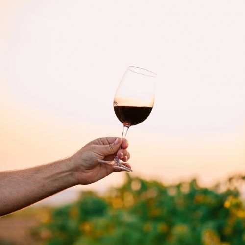 Diseño sin título